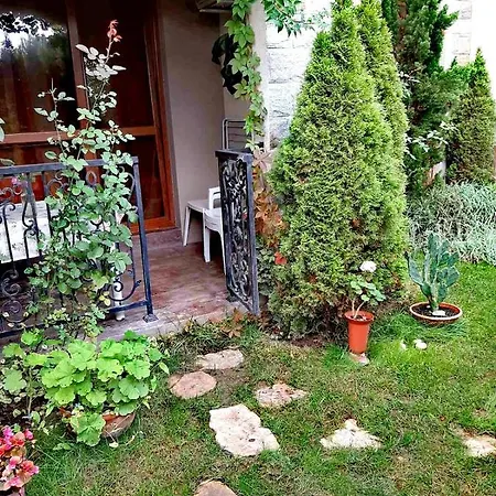 Apartment Апартамент Для Отдыха На Солнечном Берегу *